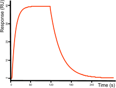 Exponential curve