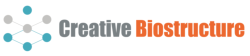 Creative Biostructure Logo