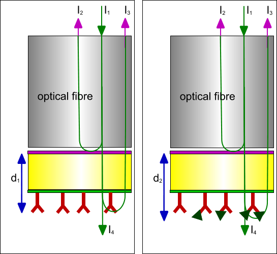 LayerThickness