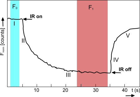 MST trace